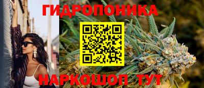 эйфоретик Тверь