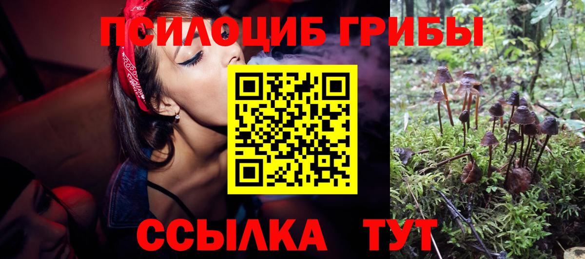 Галлюциногенные грибы Psilocybe  Вход с VPN  Белореченск 