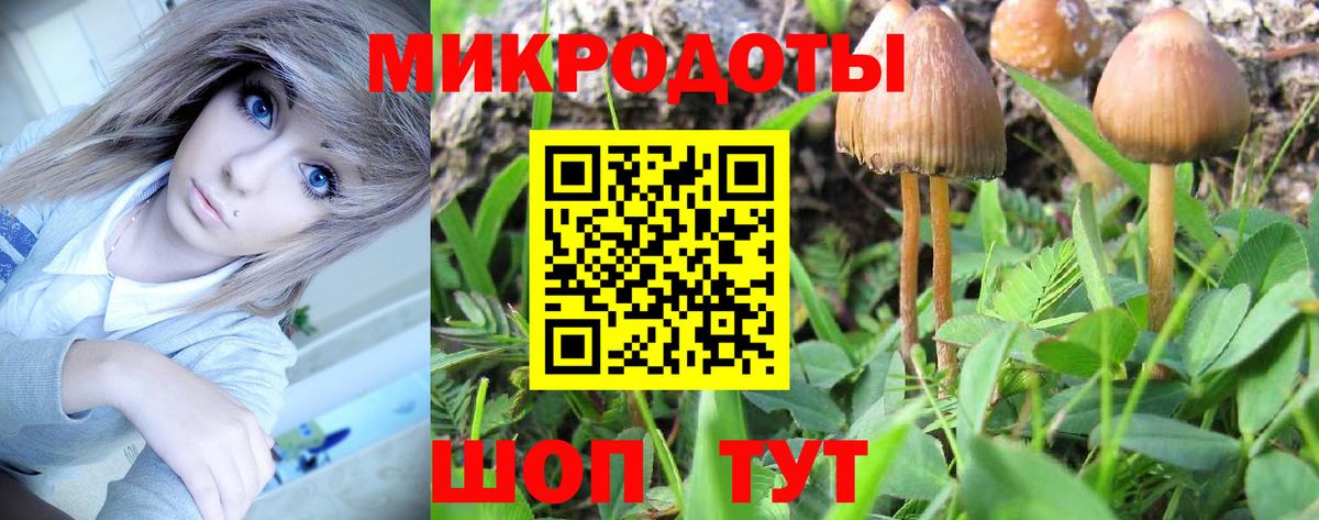 Галлюциногенные грибы прущие грибы Белореченск